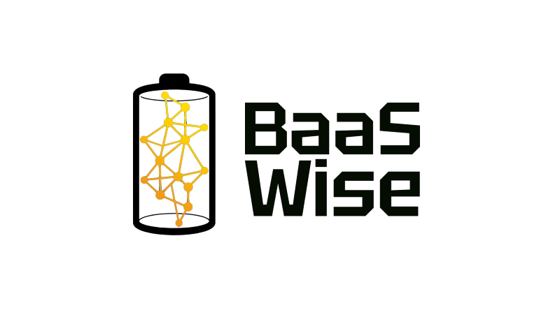 Baaswise logo-2